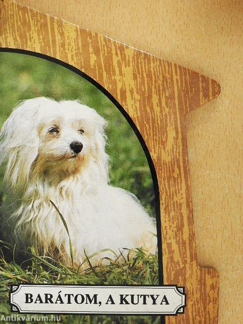 Barátom, a kutya