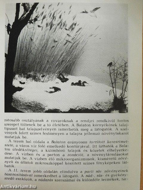 Keszthely - Balatoni Múzeum