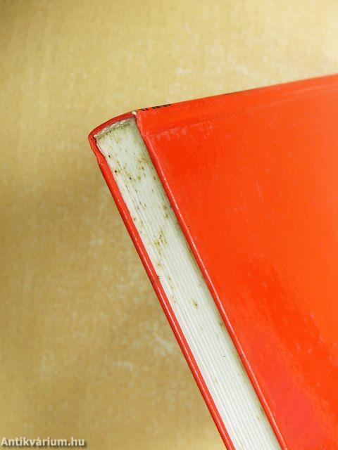 Storitz Vilmos titka