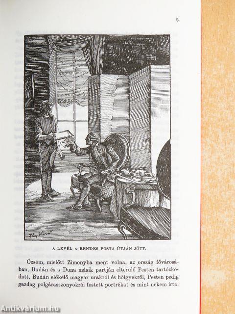 Storitz Vilmos titka