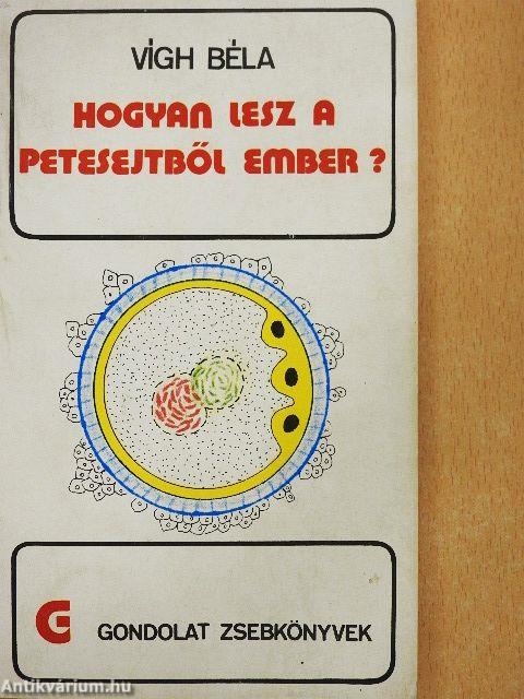 Hogyan lesz a petesejtből ember?