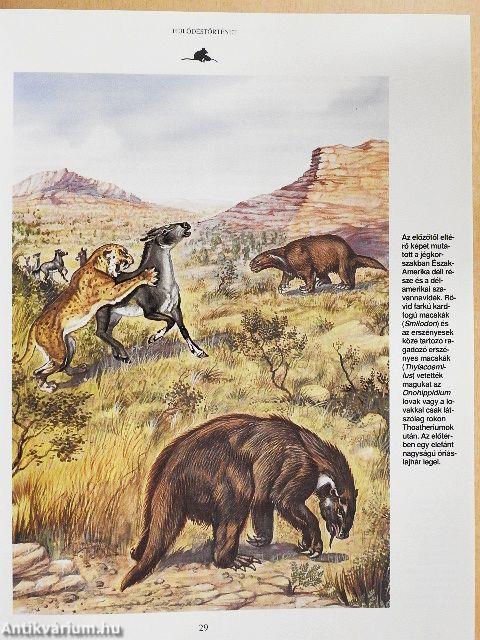 Emlősök enciklopédiája I.