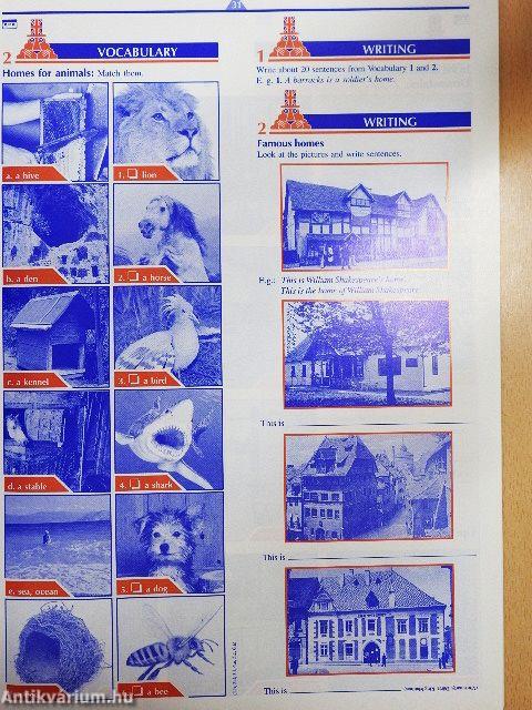 Angol nyelvű távoktató program kezdők számára 3.