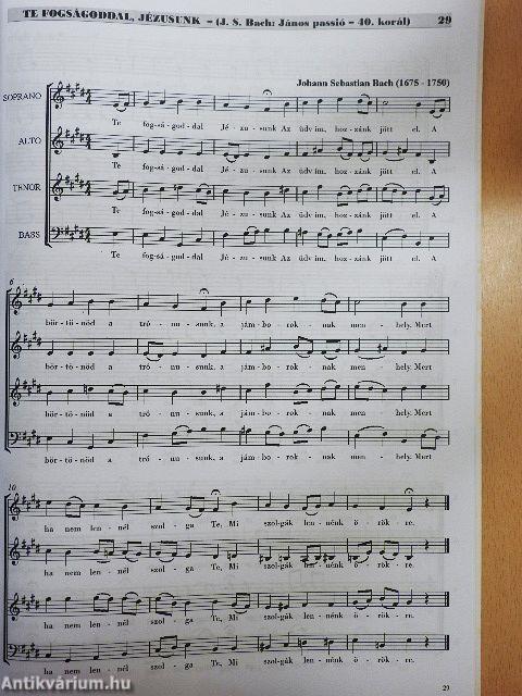 VII. Karvezetői és Énekkari Kurzus 2014