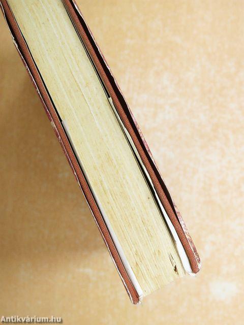 A madár és az árnyék