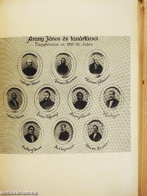 Arany János a katedrán