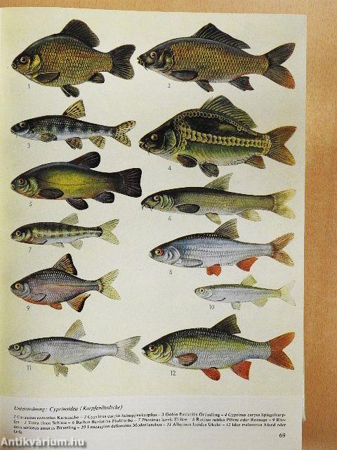 Das große Lexikon der Aquaristik