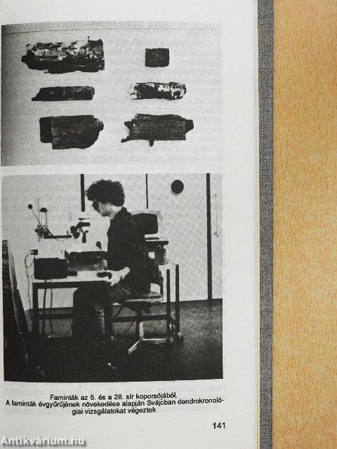 Ásatás Barguzinban