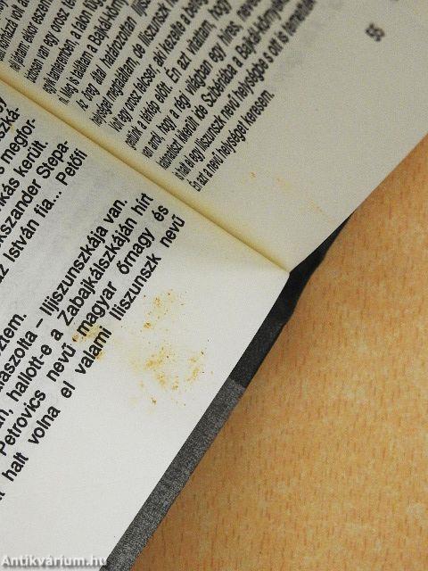 Ásatás Barguzinban