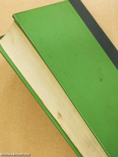 Fakó ló fakó lovasa