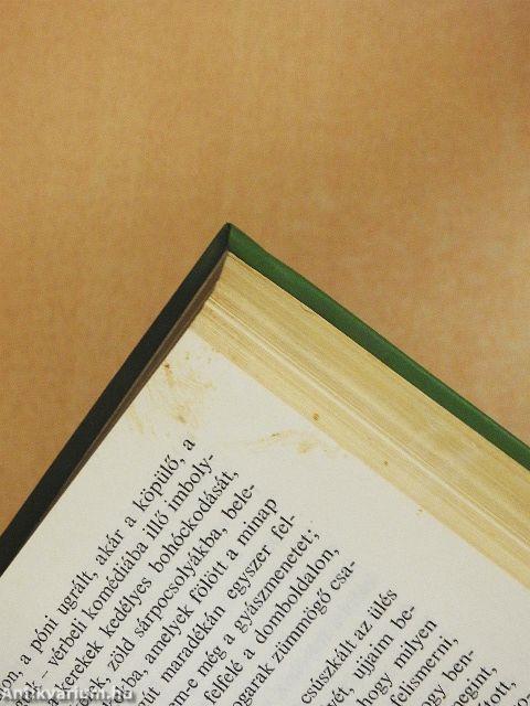 Fakó ló fakó lovasa