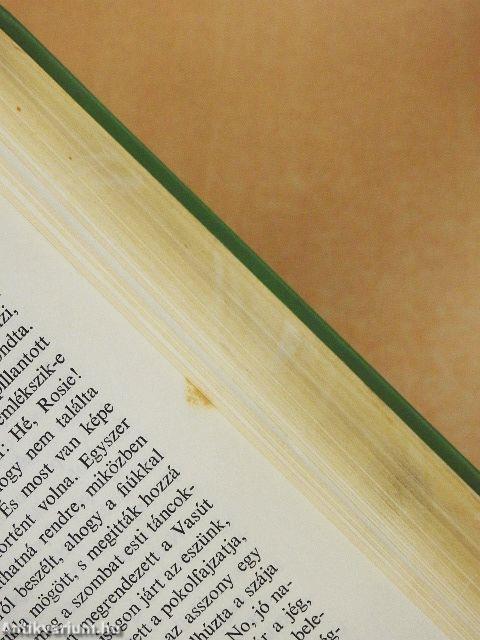 Fakó ló fakó lovasa