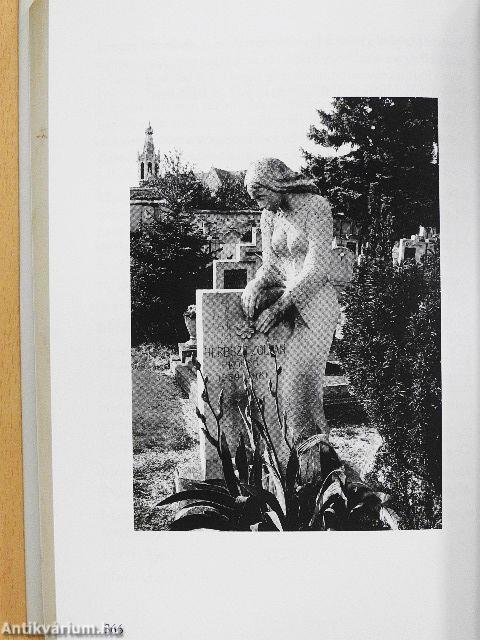 Egyszer még visszajövök