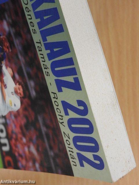 VB kalauz 2002