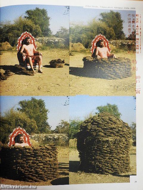 Ózon 2011. november