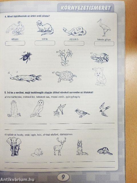 Tudorka harmadikosoknak 166.