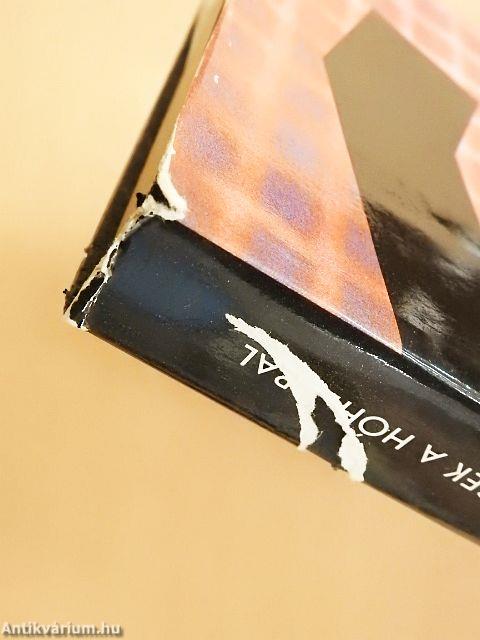 Beszélgetések a hóhérral