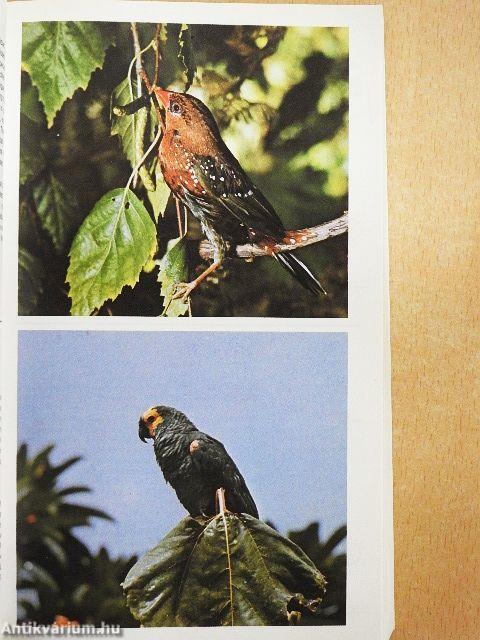 Simon & Schuster's Guide to Birds of the World