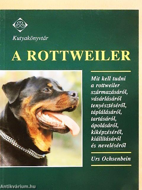 A rottweiler