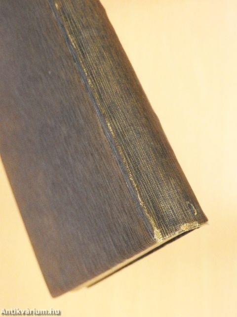 Die Renaissance in Florenz und Rom