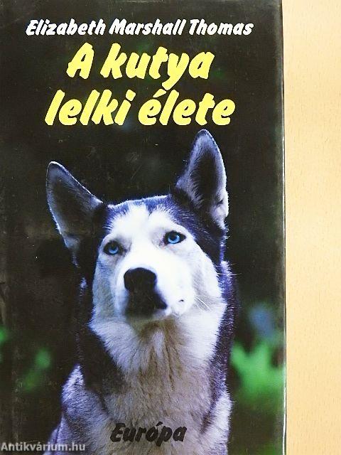 A kutya lelki élete