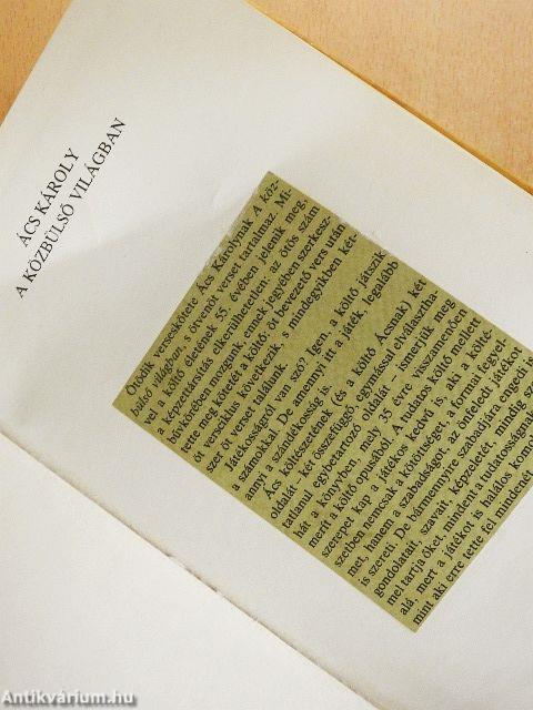 A közbülső világban