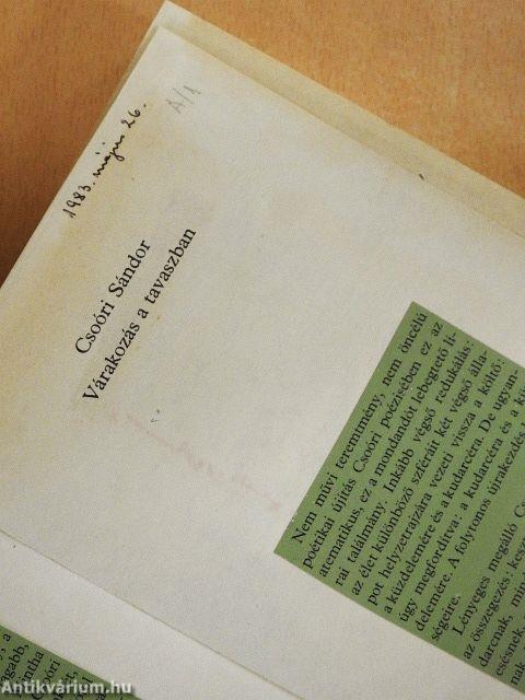 Várakozás a tavaszban