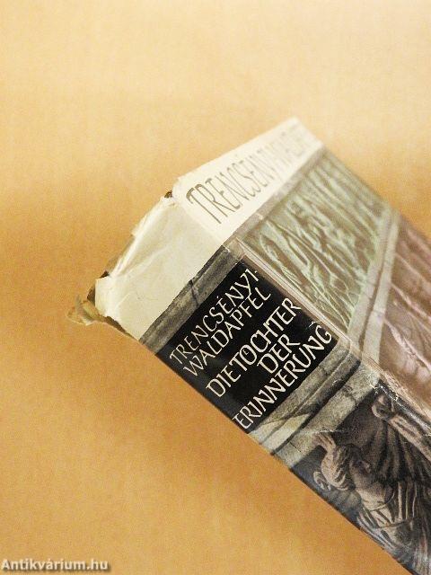 Die Töchter der Erinnerung