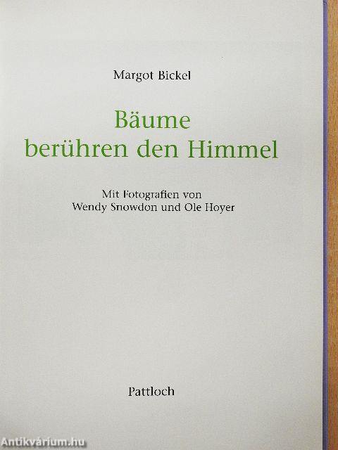 Bäume berühren den Himmel