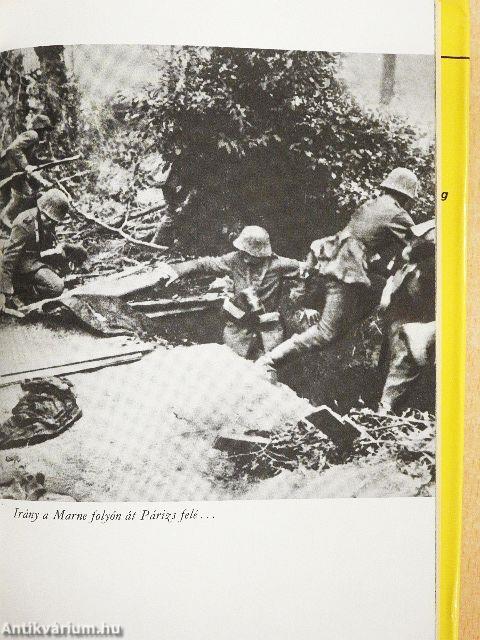 A császári sas lehull