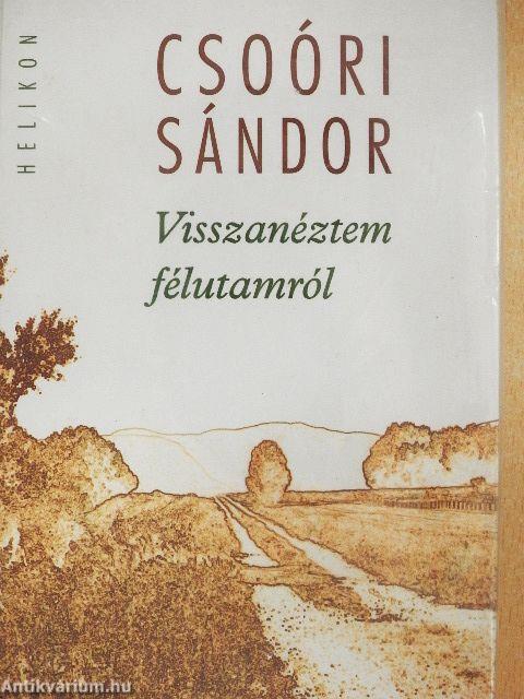 Visszanéztem félutamról
