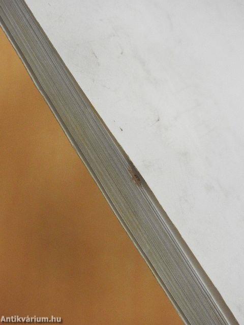 Fazekas Mihály Fővárosi Gyakorló Általános Iskola és Gimnázium Évkönyve 2000/2001