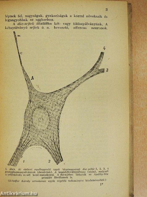 Az emberi elme I-II.