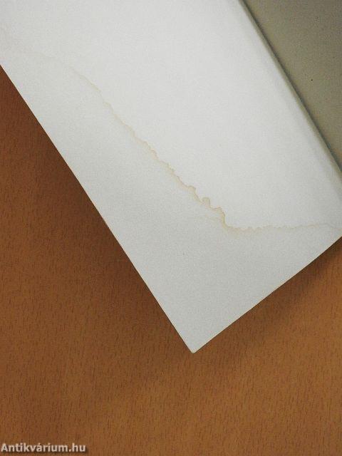 Egy bolond, mit is csinál?