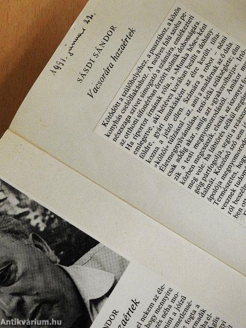 Vacsorára hazaértek