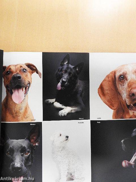 Magyar Kultúra 2022/7.