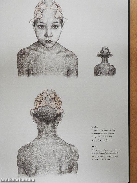 Művészet és idegsebészet együtt a hitben