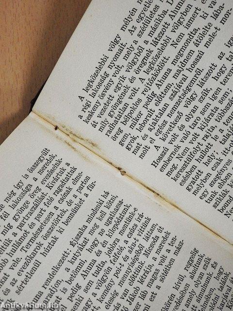 A vén halász meséi