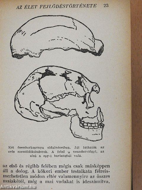 Az élet fejlődéstörténete