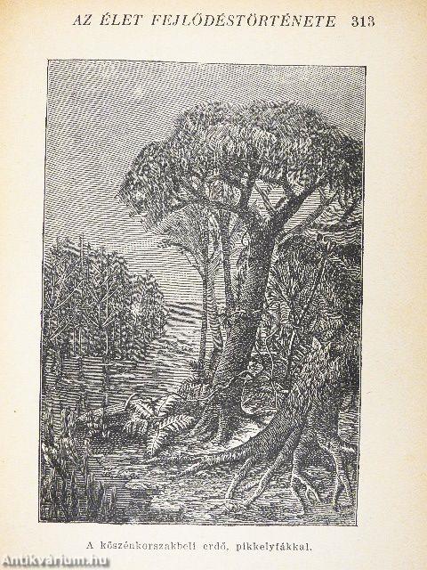 Az élet fejlődéstörténete