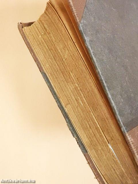 A falu jegyzője I-II.