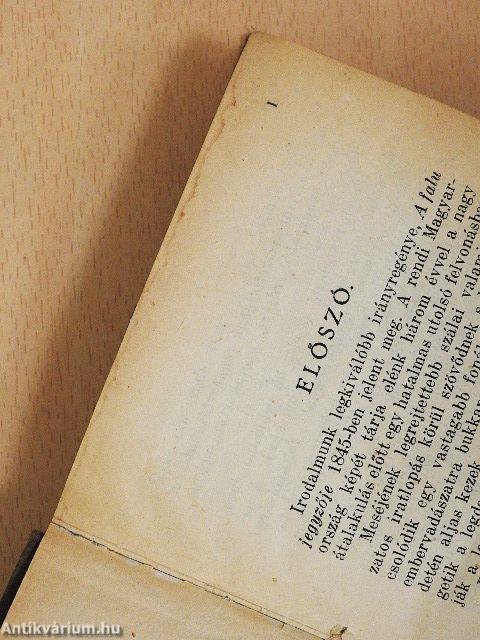 A falu jegyzője I-II.