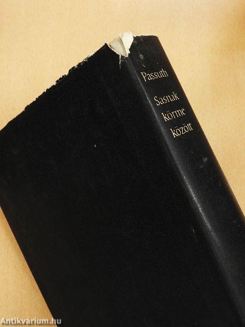 Sasnak körme között