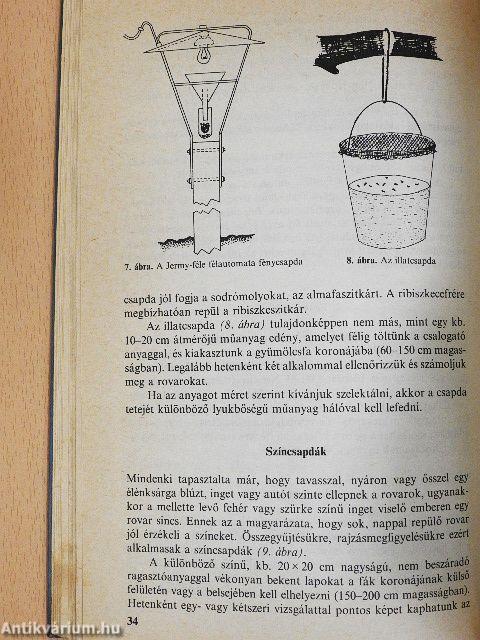 Környezetkímélő növényvédelem a házikertben