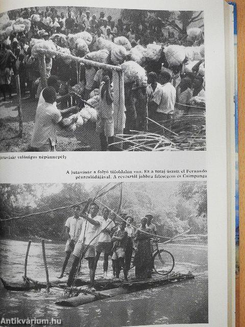 Húsz év Afrika szívében