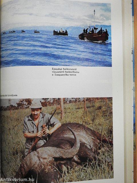 Húsz év Afrika szívében