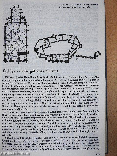 A magyarországi művészet története I.