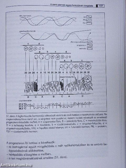 Sportélettan, sportorvostan