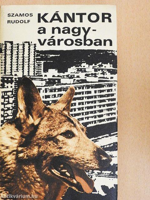 Kántor a nagyvárosban