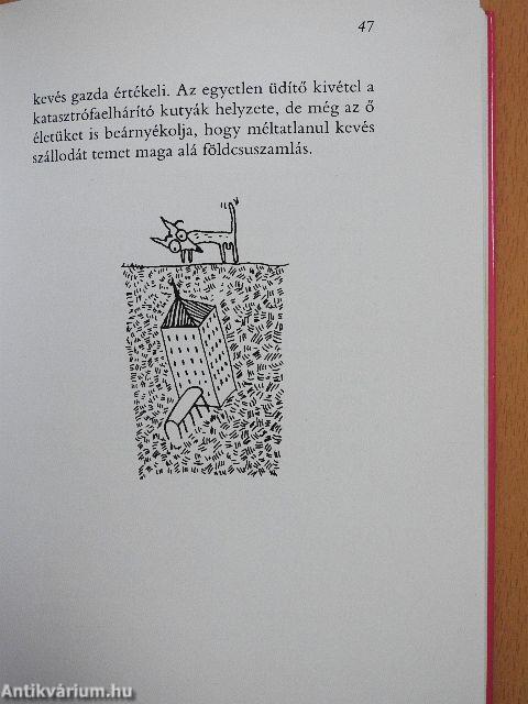 Kutya utónévkönyv